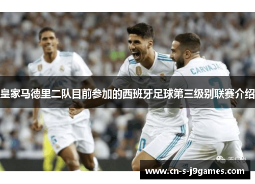 皇家马德里二队目前参加的西班牙足球第三级别联赛介绍