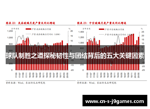 球队制胜之道探秘韧性与团结背后的五大关键因素