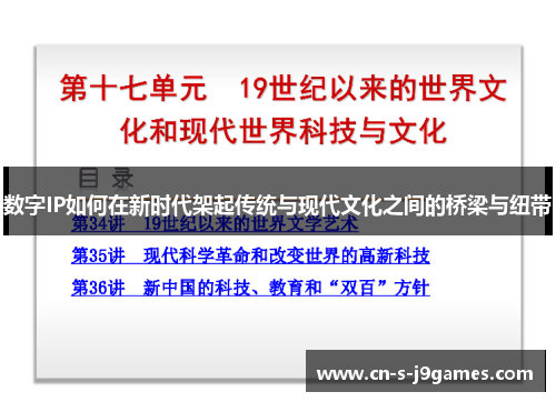 数字IP如何在新时代架起传统与现代文化之间的桥梁与纽带