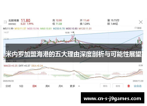 米内罗加盟海港的五大理由深度剖析与可能性展望